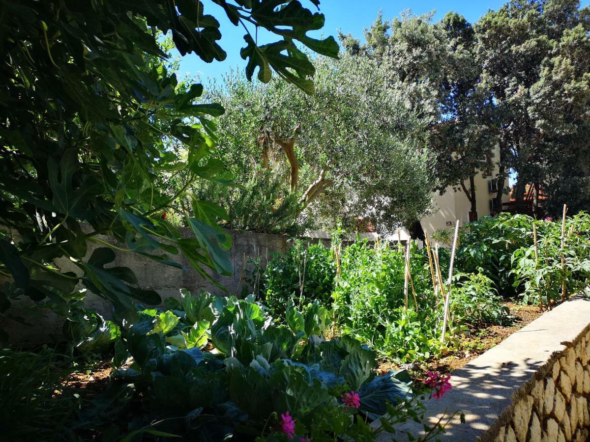 Apartment Milena 8 Mandre